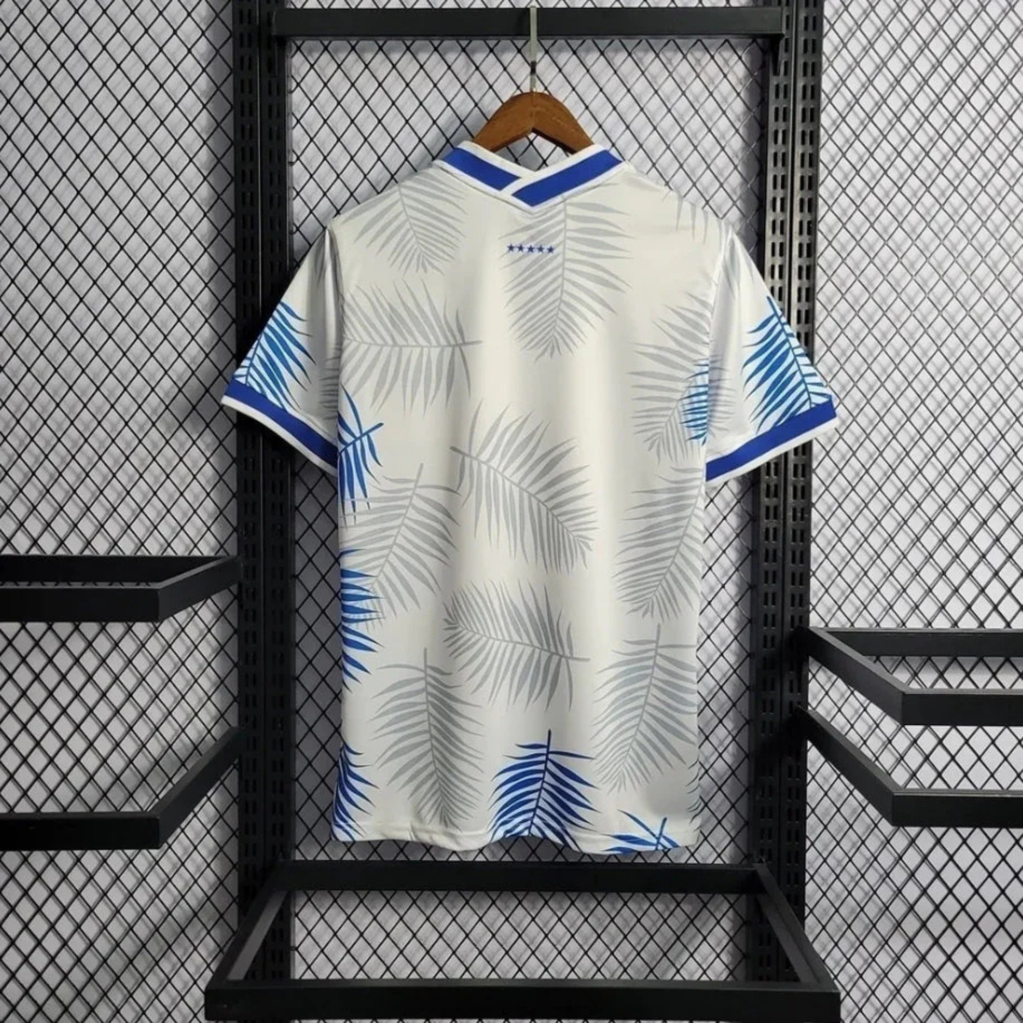 Brazil Palm Summer Kit